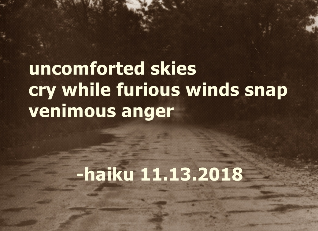 haiku11.13.2018